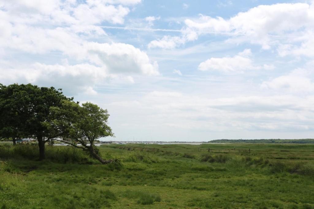 Bournecoast - Stunning View Of Nature Reserve - Hb5901 Villa Bournemouth Ngoại thất bức ảnh